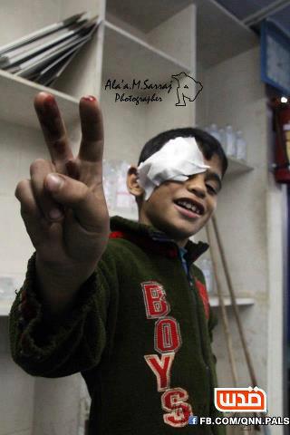 21677_313611545418610_1245555600_n