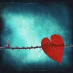 1900119_667322606668407_937846377_n