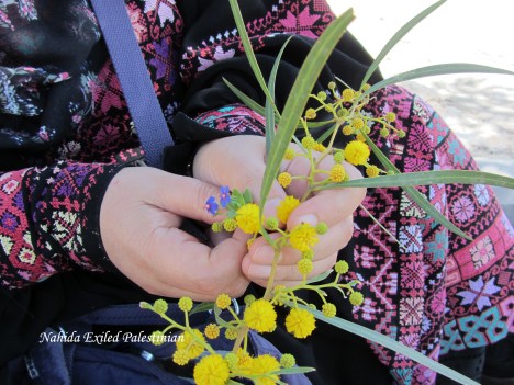 Copy of Picture 375aa