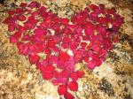 Valentine-Day-heart-made-of-Rose-Petals