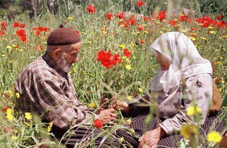 21716_563075007052196_764234295_n