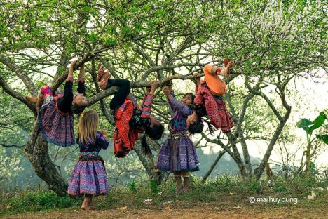 11078080_793197227429757_6432281951761834732_o