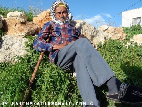 282644_432092403502127_657425197_n