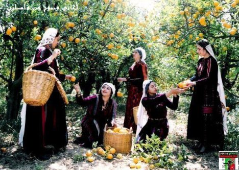 575439_309377292462645_1205570906_n