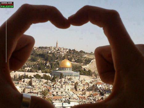 577013_355489817870544_956970194_n