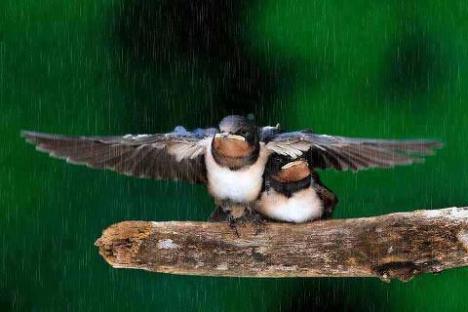 543878_575041152510292_1759380066_n