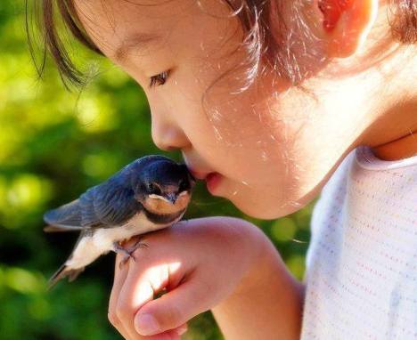 419986_463345403748276_1230604063_n