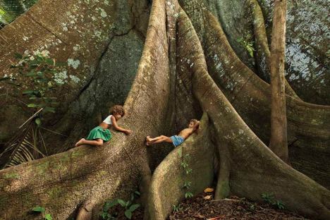 600439_468568906559259_237213077_n