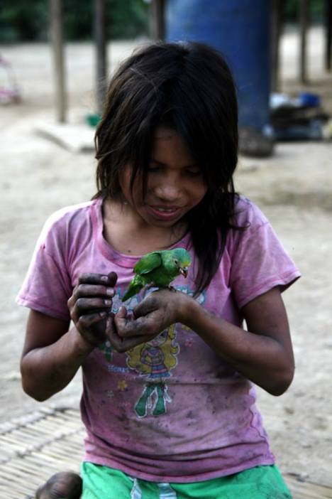 972063_460621964020620_1087346339_n