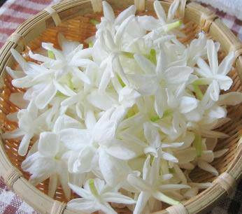 529404_609284712428321_2136254962_n