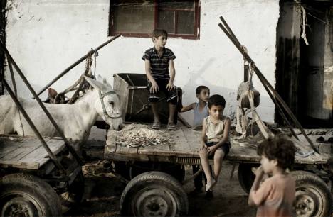 1039571_10200149694331825_1050319405_o