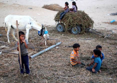 1040862_4914866716229_443557320_o