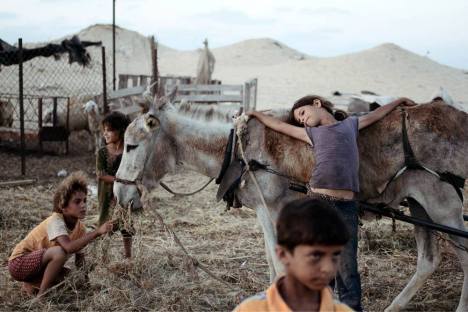 1052706_4909334777934_874064561_o