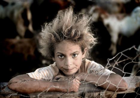 1072644_10200132909592217_1753226004_o