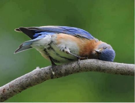 284670_275577985891536_560950162_n