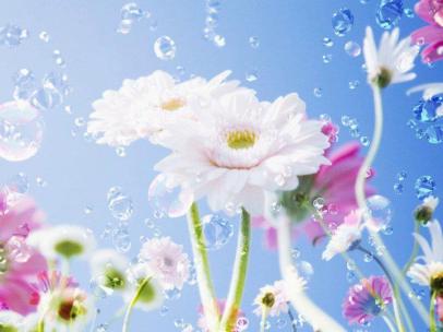 526907_560510923965306_1169999256_n