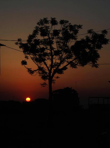 901596_4593848330970_365758401_o