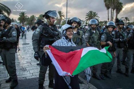 1239427_559495634117475_1271098614_n