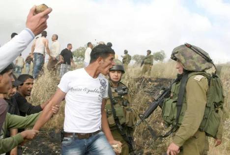 1368680_421157947990512_727088664_n