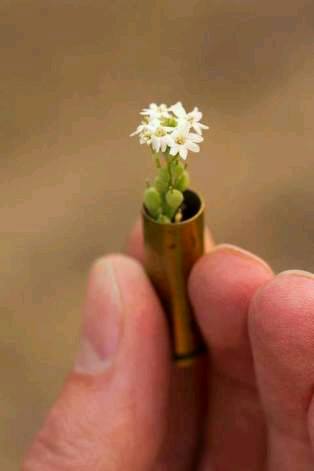 1379416_10151865042222421_646971299_n