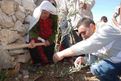 229426_354465761339603_77790347_n