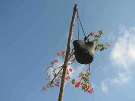 297113_280401452071523_2130062782_n