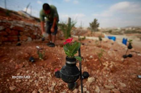 528223_539399372799621_1033442384_n