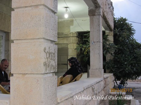 IMG_2629aa - Copy - Copy