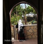 IMG_6105 – Copyaaaa –&nbsp;Copy