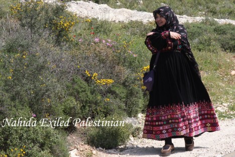 Picture 033 - Copyaa - Copy