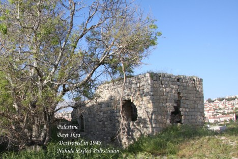 Picture 1048 - Copya