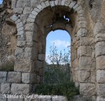 Picture 952 –&nbsp;Copyaa