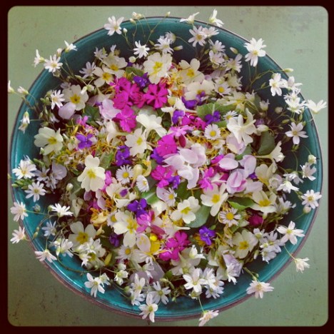 tumblr_inline_mmxu9yU6i21qz4rgp