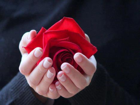 390566_390291264377661_1118740550_n