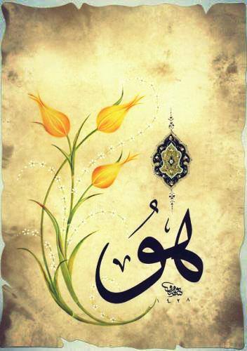 1379899_1423131074577159_1508461523_n