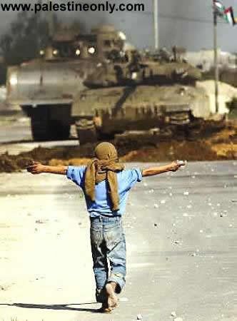 215805_195876420456780_123703501007406_548377_926164_n