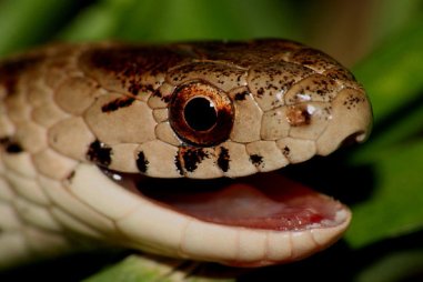 flat,550x550,075,f.u3