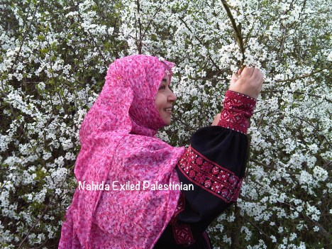 IMG00142-20110416-1823 copy