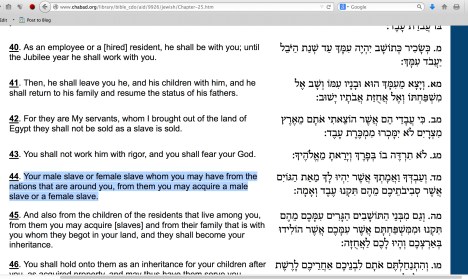 Screen Shot 2014-11-07 at 09.42.37