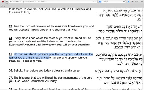 Screen Shot 2014-12-07 at 09.08.36