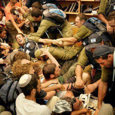 550732_474671629237815_8217682_n