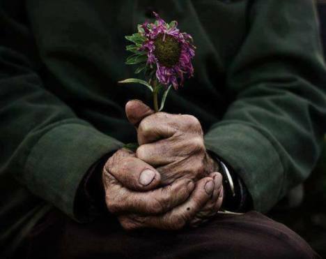 541711_202523819920731_158562039_n