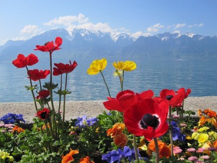 306823_166447576766184_919270_n copy