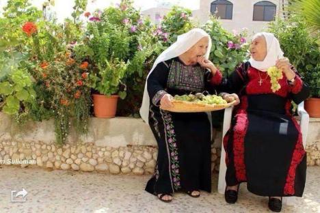 10773_710334862393897_9169549691675492760_n