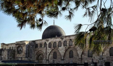 31618_506001709434415_284628689_n