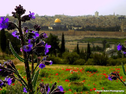 378868_374095109349126_835145121_n