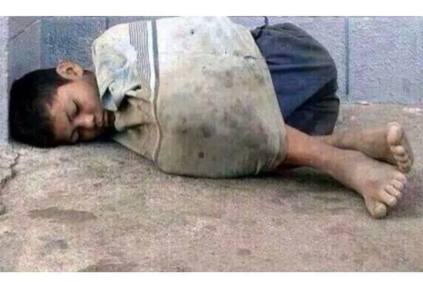 1601566_718243848186426_1342720797_n