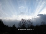 dscn0784