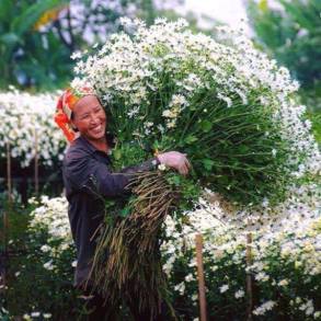 13912485_10154383113398185_7852985042905704850_n