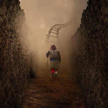 14721452_1052289261537137_7932096913277630035_n